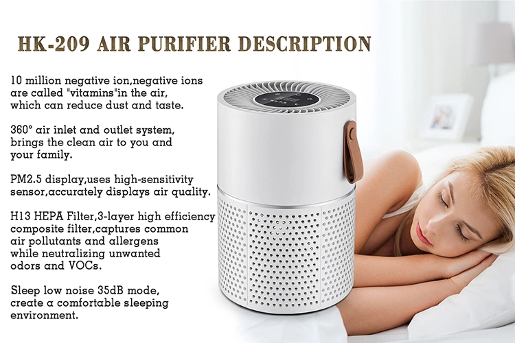 Best Ionizer Air Purifier Bedroom Desktop Kitchen Top Rated Air Purifiers 2022 Air Purifier